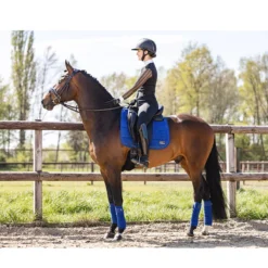 Bandages Anky Blauw -Rij Gerei Verkoop bandages anky blauw 1500x1500 170155