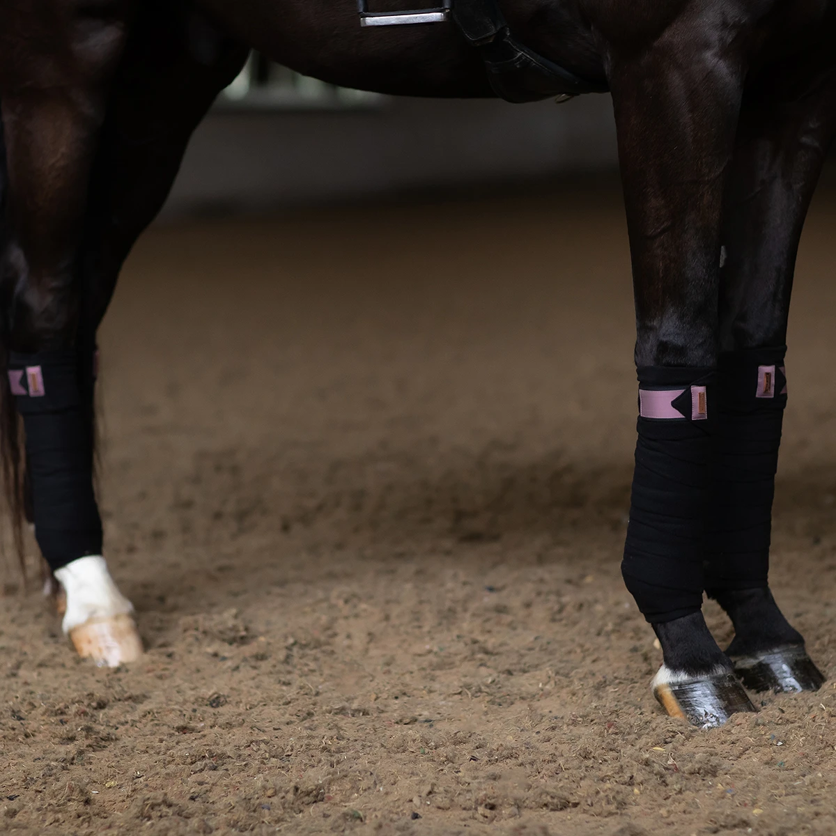 Bandages Equestrian Stockholm Anemone Zwart-roze 3 Bandages Equestrian Stockholm Anemone Zwart-roze - Afbeelding 3