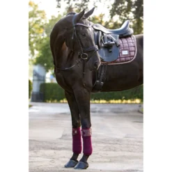 Bandages HB Showtime Lake View Donkerrood -Rij Gerei Verkoop bandages hb showtime lake view donkerrood 1500x1500 129399