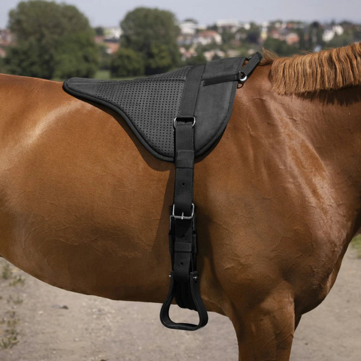 Barebackpad Equithème Norton Zwart 1 Barebackpad Equithème Norton Zwart