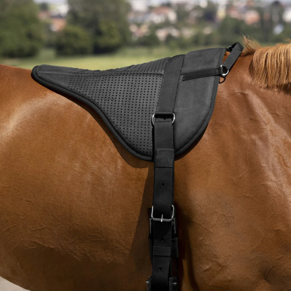 Barebackpad Equithème Norton Zwart 4 Barebackpad Equithème Norton Zwart - Afbeelding 4