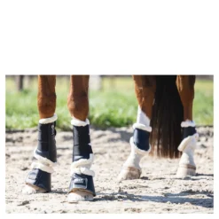 Beenbeschermers Anky Active Gel Impact ATB22001 Zwart -Rij Gerei Verkoop beenbeschermers anky active gel impact atb22001 zwart 1500x1500 182965