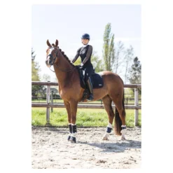 Beenbeschermers Anky Active Gel Impact ATB22001 Zwart -Rij Gerei Verkoop beenbeschermers anky active gel impact atb22001 zwart 1500x1500 182966