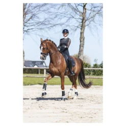 Beenbeschermers Anky Active Gel Impact ATB22001 Zwart -Rij Gerei Verkoop beenbeschermers anky active gel impact atb22001 zwart 1500x1500 182967