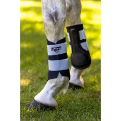 Beenbeschermers LeMieux Grafter Lichtblauw -Rij Gerei Verkoop beenbeschermers lemieux grafter lichtblauw 1500x1500 180794