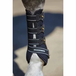 Beenbeschermers WeatherBeeta Dressage Boots Zwart -Rij Gerei Verkoop beenbeschermers weatherbeeta dressage boots zwart 1500x1500 135125