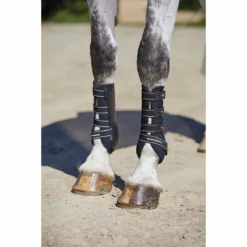 Beenbeschermers WeatherBeeta Dressage Boots Zwart -Rij Gerei Verkoop beenbeschermers weatherbeeta dressage boots zwart 1500x1500 135127