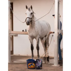 Cavalor Equi Wash Overige -Rij Gerei Verkoop cavalor equi wash overige 1500x1500 181174