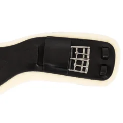 Dressuursingel Anky Zwart -Rij Gerei Verkoop dressuursingel anky zwart 1500x1500 179971