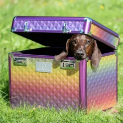 Poetsbox Imperial Riding Shiny Multicolor -Rij Gerei Verkoop poetsbox imperial riding shiny multicolor 1500x1500 119782