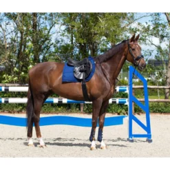 Singel QHP Anatomical Zwart -Rij Gerei Verkoop singel qhp anatomical zwart 1500x1500 117367