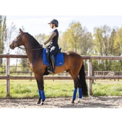 Zadeldek Anky Anatomic Tech Middenblauw -Rij Gerei Verkoop zadeldek anky anatomic tech middenblauw 1500x1500 170126