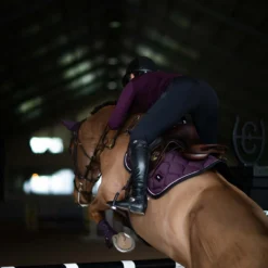 Zadeldek Equestrian Stockholm Black Raven Paars -Rij Gerei Verkoop zadeldek equestrian stockholm black raven paars 1500x1500 179377