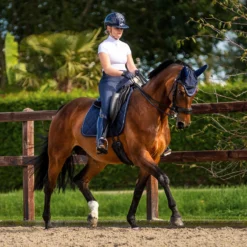 Zadeldek PresTeq PerformNow Donkerblauw -Rij Gerei Verkoop zadeldek presteq performnow donkerblauw 1500x1500 184022