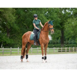 Zadeldek QHP Astana Donkergroen -Rij Gerei Verkoop zadeldek qhp astana donkergroen 1500x1500 159141