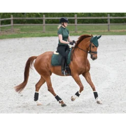 Zadeldek QHP Astana Donkergroen -Rij Gerei Verkoop zadeldek qhp astana donkergroen 1500x1500 159142