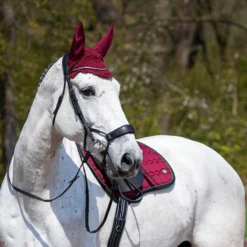 Zadeldek QHP Eldorado Donkerrood -Rij Gerei Verkoop zadeldek qhp eldorado donkerrood 1500x1500 101831