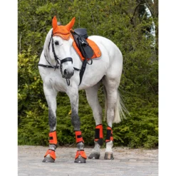 Zadeldek QHP Eldorado Oranje -Rij Gerei Verkoop zadeldek qhp eldorado oranje 1500x1500 101844