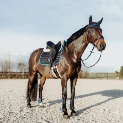 Zadeldek QHP Florence Donkerblauw -Rij Gerei Verkoop zadeldek qhp florence donkerblauw 1500x1500 123970