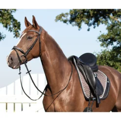 Zadeldek QHP Shiva Zwart-grijs -Rij Gerei Verkoop zadeldek qhp shiva zwart grijs 1500x1500 102881