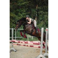 Zadeldek SKØL Bror Rood 14 Zadeldek SKØL Bror Rood -Rij Gerei Verkoop zadeldek skol bror rood 1500x1500 124056