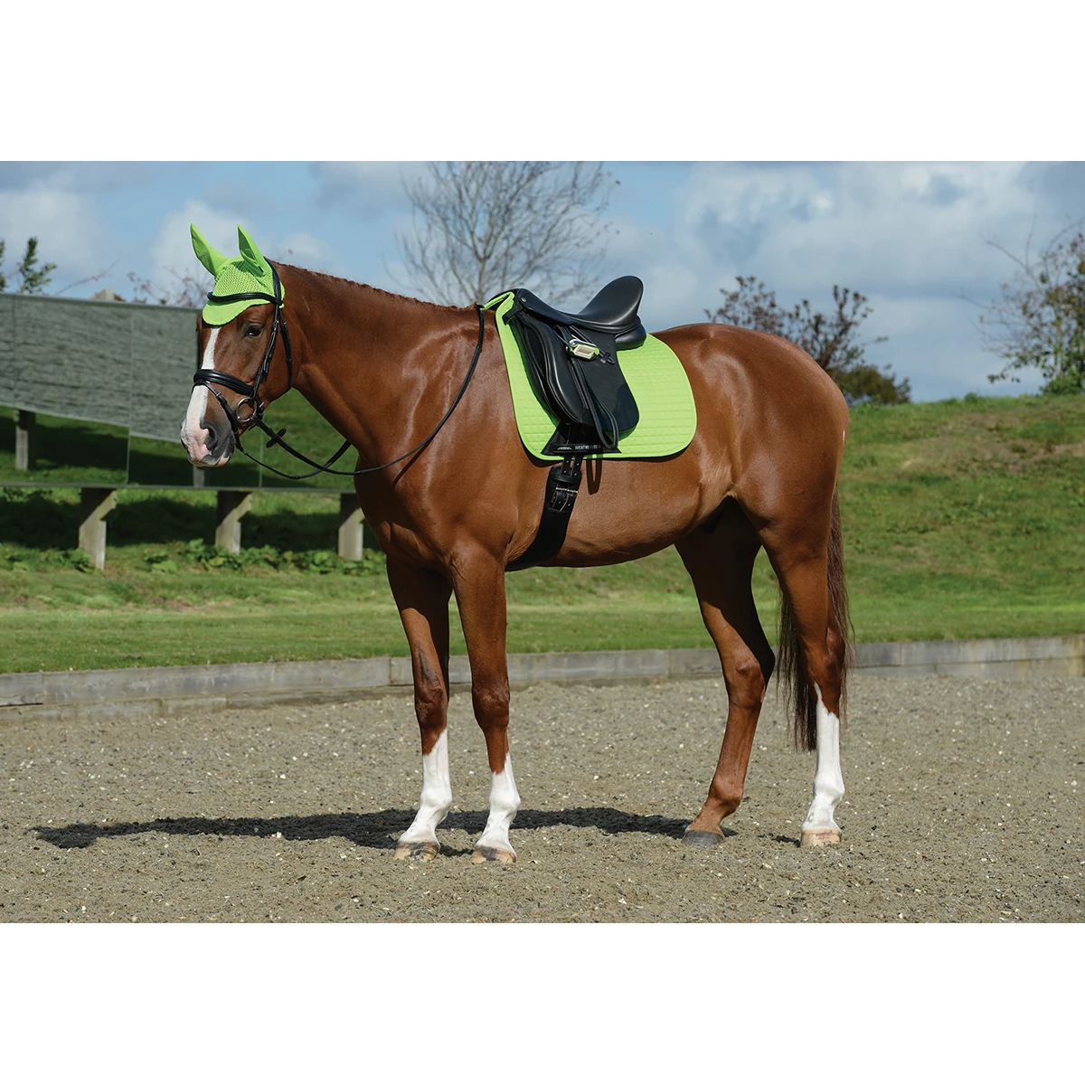 Zadeldek WeatherBeeta Prime Dressage Lichtgroen 2 Zadeldek WeatherBeeta Prime Dressage Lichtgroen - Afbeelding 2