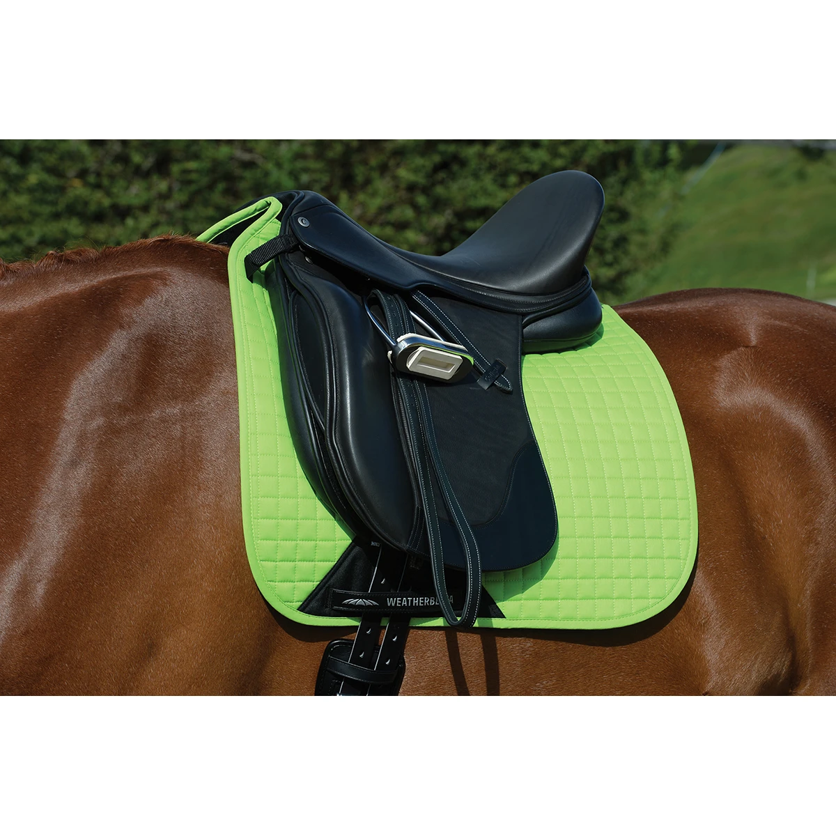 Zadeldek WeatherBeeta Prime Dressage Lichtgroen 3 Zadeldek WeatherBeeta Prime Dressage Lichtgroen - Afbeelding 3