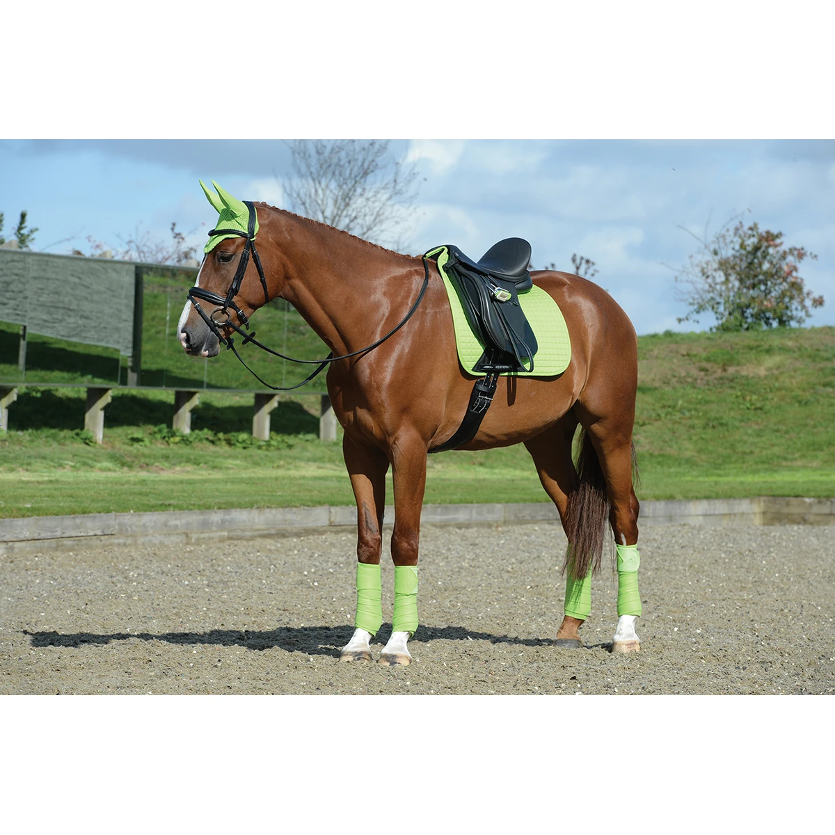 Zadeldek WeatherBeeta Prime Dressage Lichtgroen 4 Zadeldek WeatherBeeta Prime Dressage Lichtgroen - Afbeelding 4