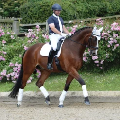 Zadeldek WeatherBeeta Prime Dressage Wit -Rij Gerei Verkoop zadeldek weatherbeeta prime dressage wit 1500x1500 133441