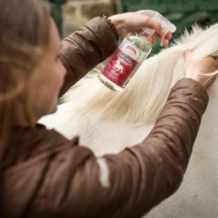 Zedan Bio Ginkgo Shampoo Overige -Rij Gerei Verkoop zedan bio ginkgo shampoo overige 1500x1500 182585